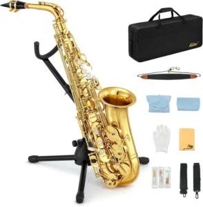 A gold lacquered Eastar AS-Ⅱ Student Alto Saxophone with a complete beginner kit including a carrying case, sax stand, mouthpiece, straps, reeds, cleaning cloths, and gloves.