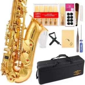 A gold lacquered Glory E Flat Alto Saxophone featuring a full beginner's kit with 11 reeds, 8 pad cushions, a carrying case, care kit, neck strap, and cleaning accessories.