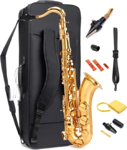 A high-quality Herche Superior Alto Saxophone in gold lacquer finish, complete with a carrying case and essential accessories for advanced players.